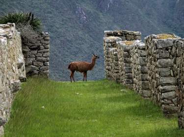 Culture, Nature and Adventure in Peru