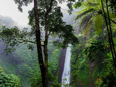 Coast, Mountain Ranges and the Amazon Rainforest